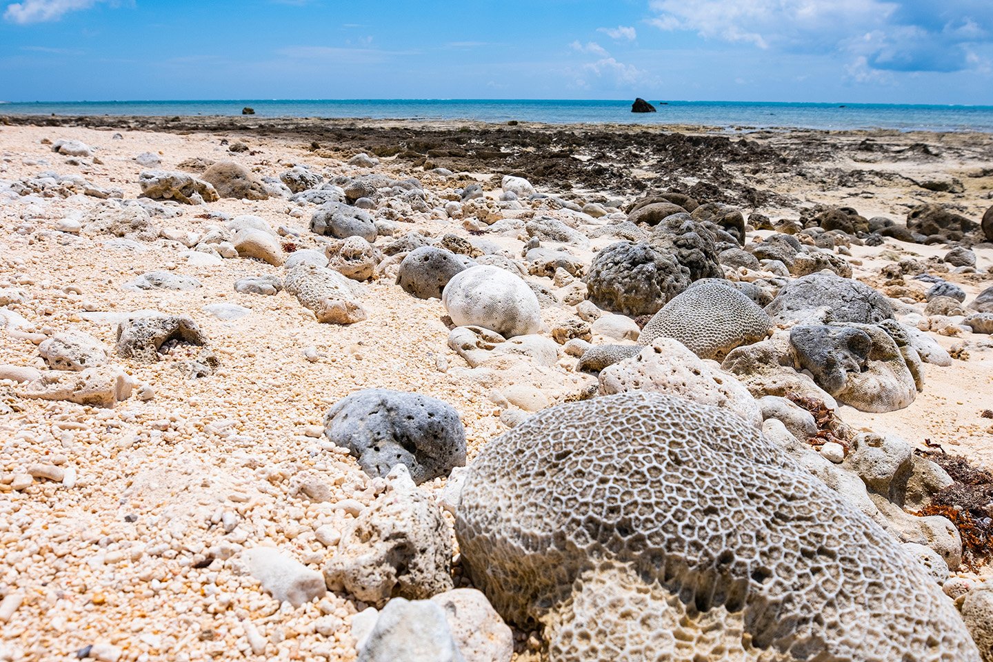 🌊 시라호 해변(시라호 카이간) 이미지 3